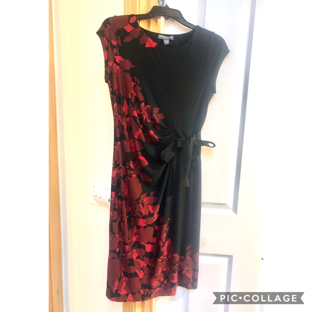 A Pea in the Pod Maternity Dress - Picture 2 of 3